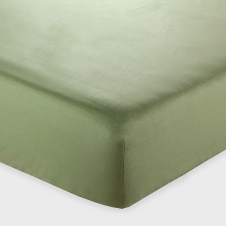 Draps housse pour lit matrimonial Andrea Home I Colorissimi en uni Vert Céladon