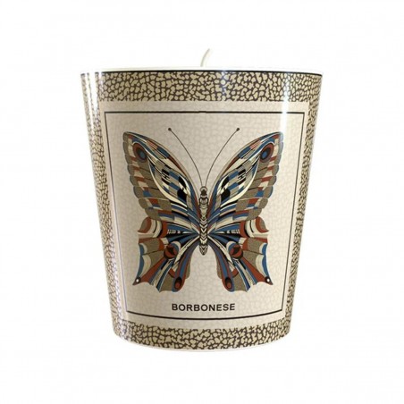 Candela Borbonese Iconic colore Papillon