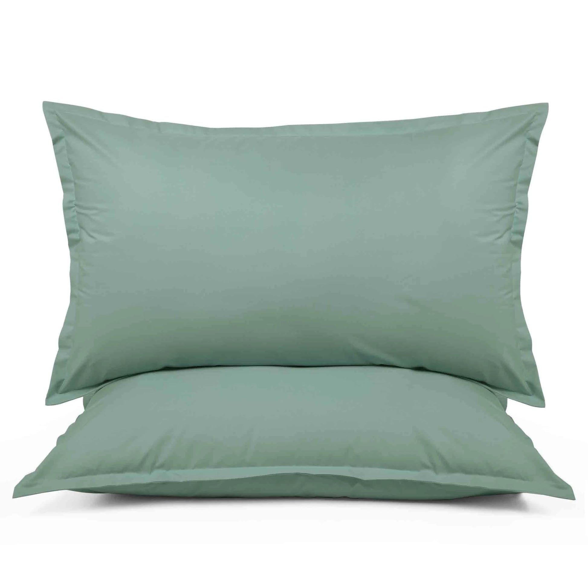 Coppia di federe Prestige in percalle colore Salvia